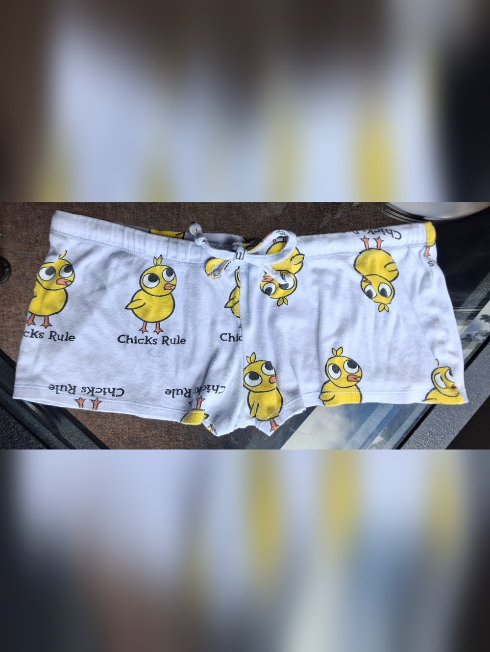 Y2K Booty Shorts Chicks Rule
